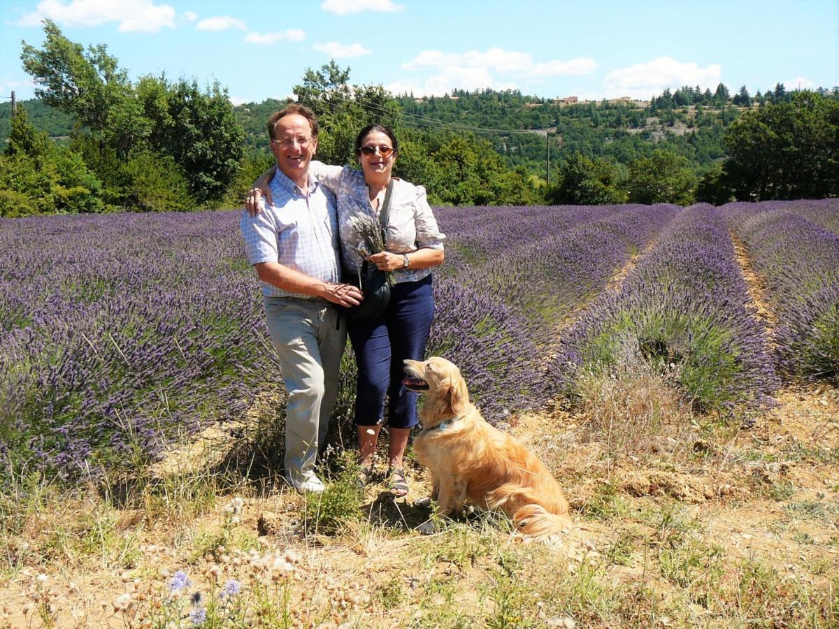 Bed and Breakfast Santolines En Provence Piolenc Екстер'єр фото