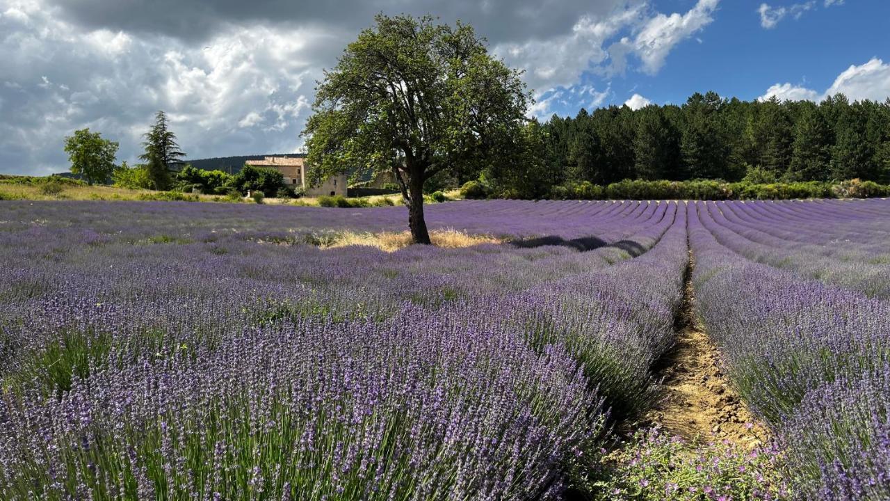Bed and Breakfast Santolines En Provence Piolenc Екстер'єр фото