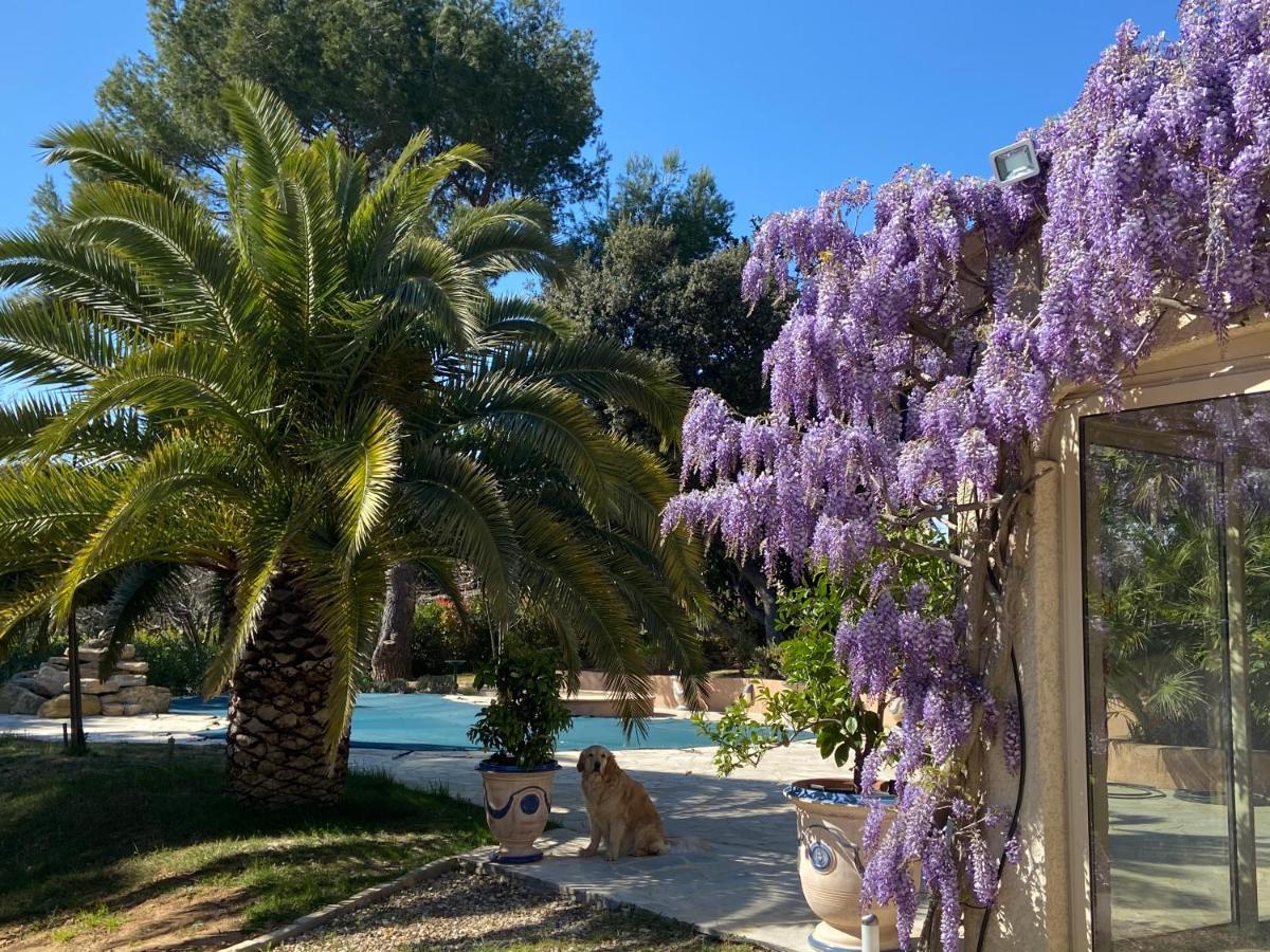 Bed and Breakfast Santolines En Provence Piolenc Екстер'єр фото