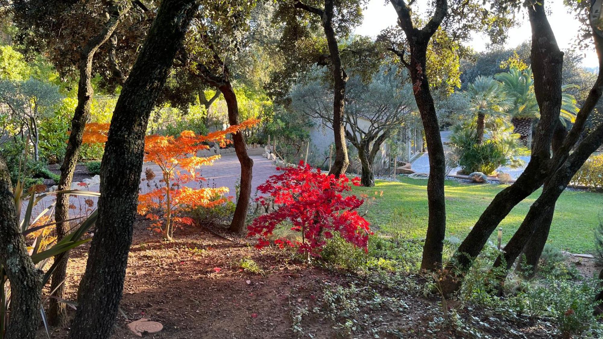 Bed and Breakfast Santolines En Provence Piolenc Екстер'єр фото