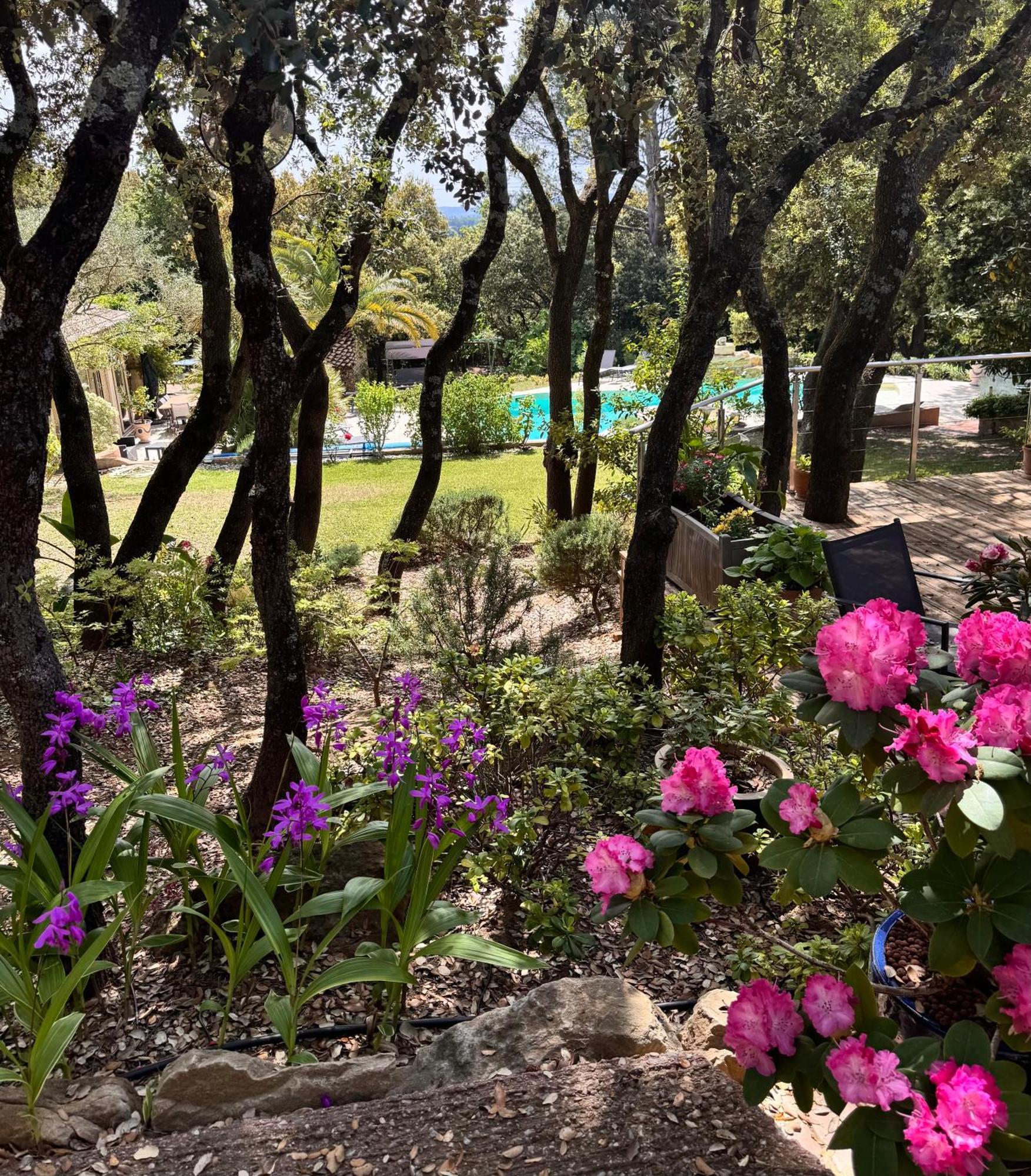Bed and Breakfast Santolines En Provence Piolenc Екстер'єр фото